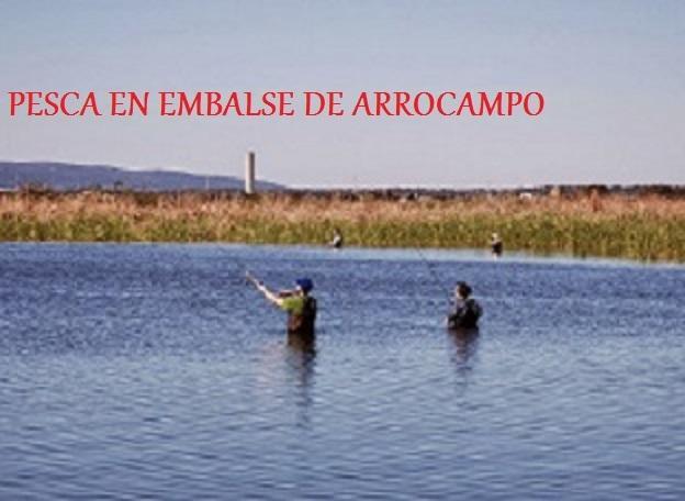 Los Montes Affittacamere Casas de Miravete Esterno foto