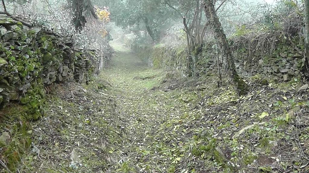 Los Montes Affittacamere Casas de Miravete Esterno foto