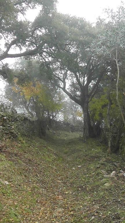 Los Montes Affittacamere Casas de Miravete Esterno foto